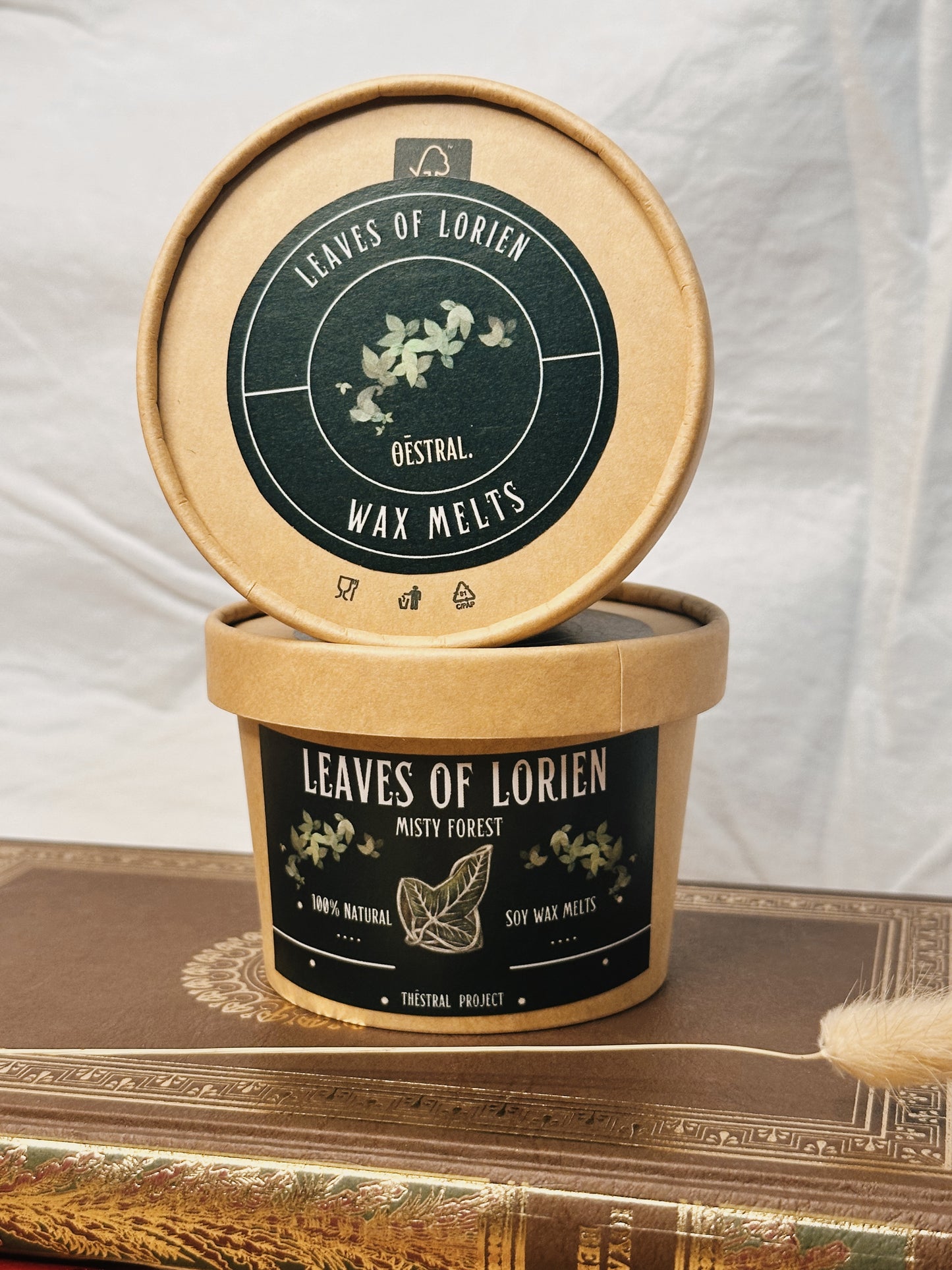 LEAVES (Misty Forest)