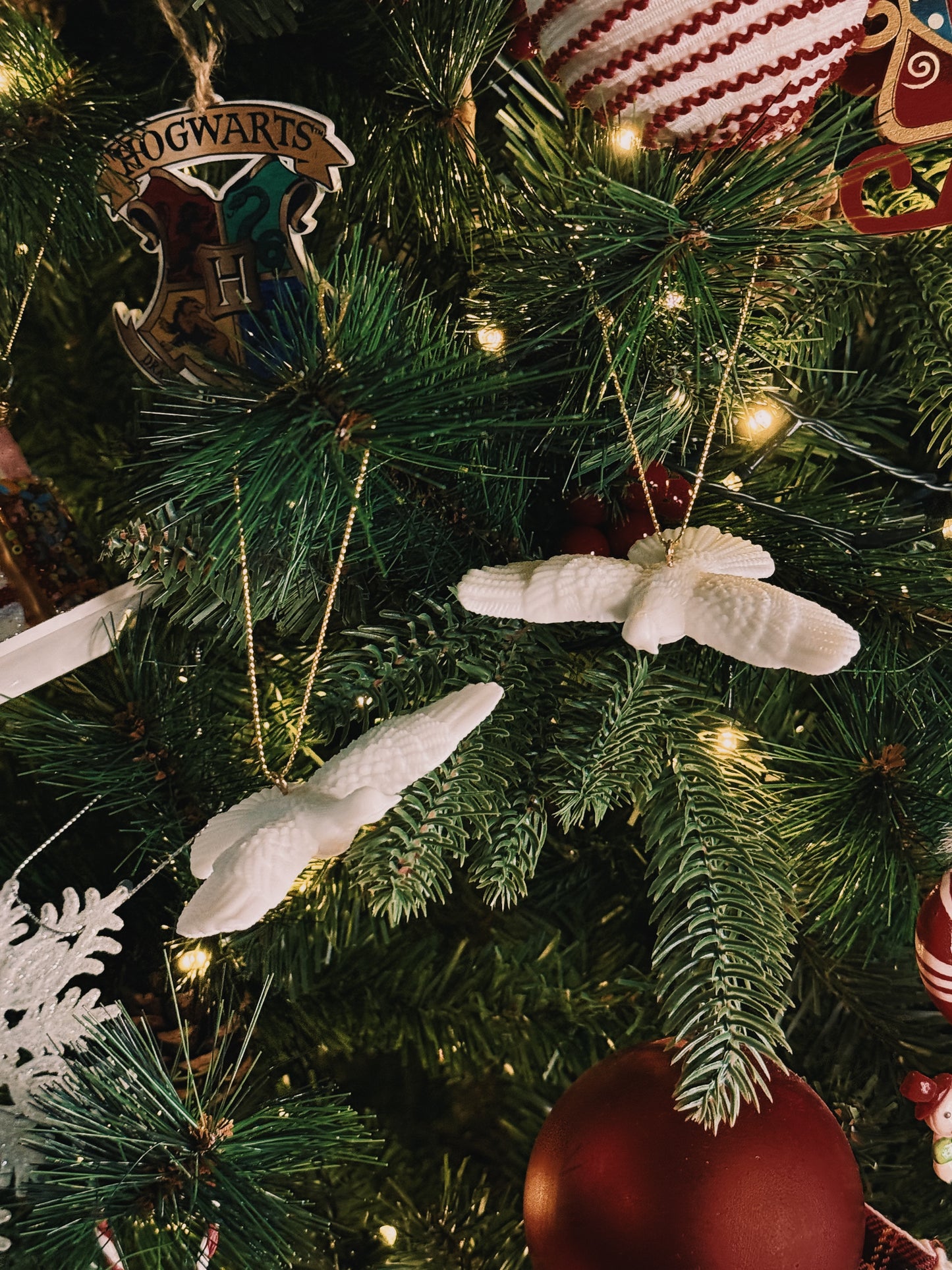 Kevin McCallister Gift Box