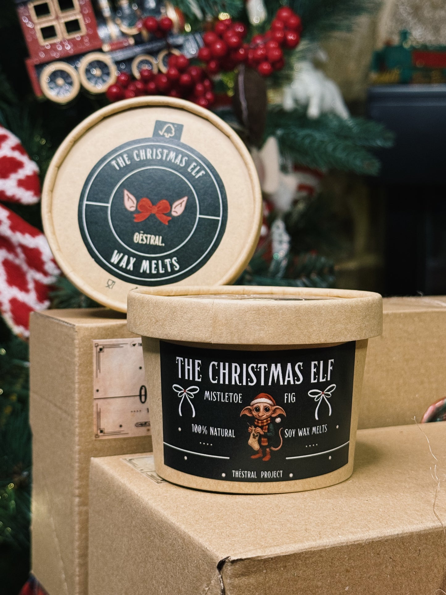 Wizard Friends Gift Box